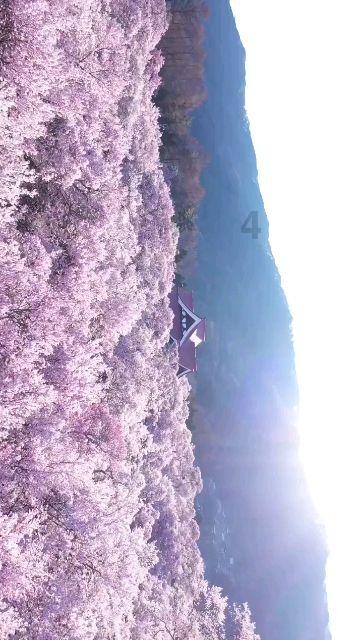 秘密基地找不同