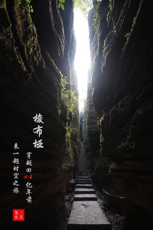 后卫营救