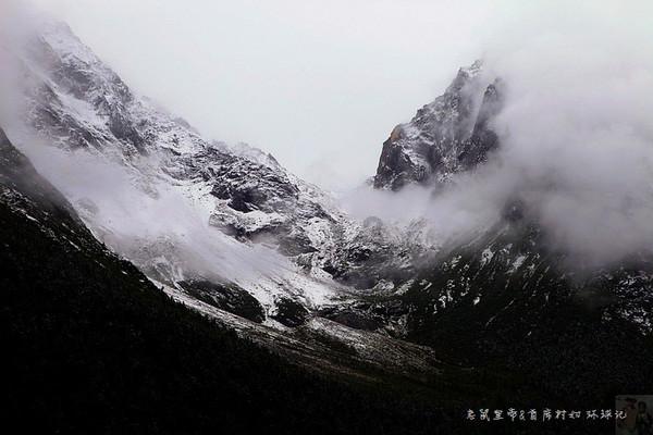 美人鱼游玩