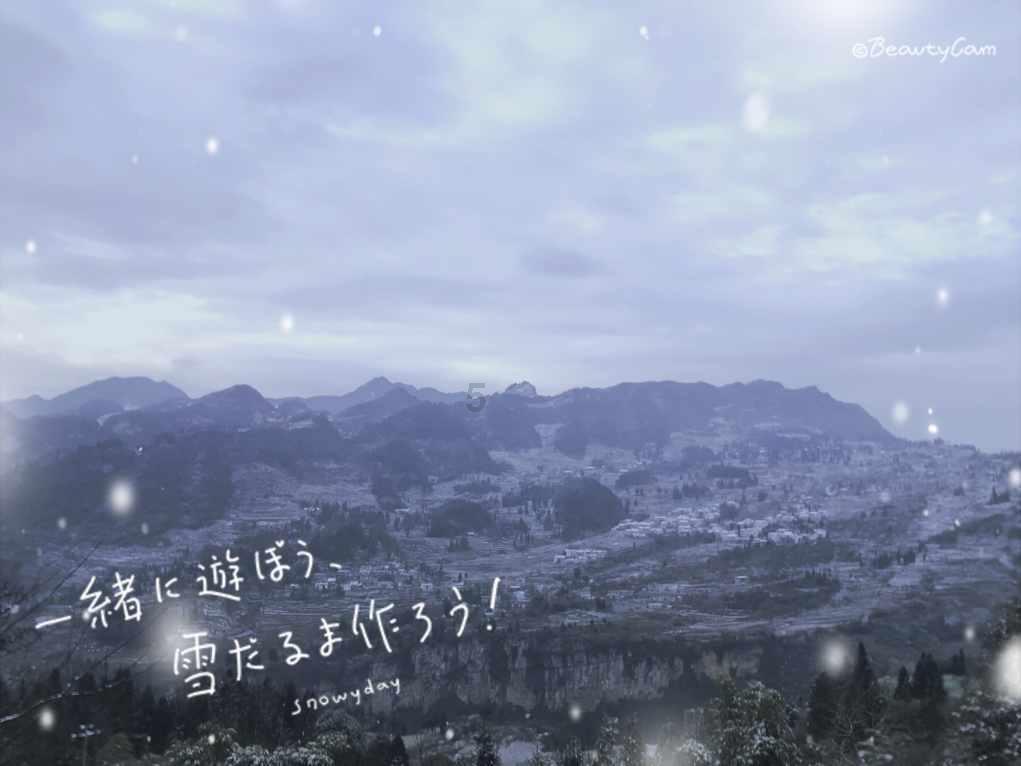 冷知识分享平台——薇薇安绣球是新老枝开花吗?,发掘奇思妙想