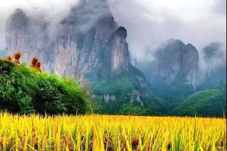 新闻速递丨守住钱袋子，过好幸福年，西集镇开展防范非法集资宣传教育活动