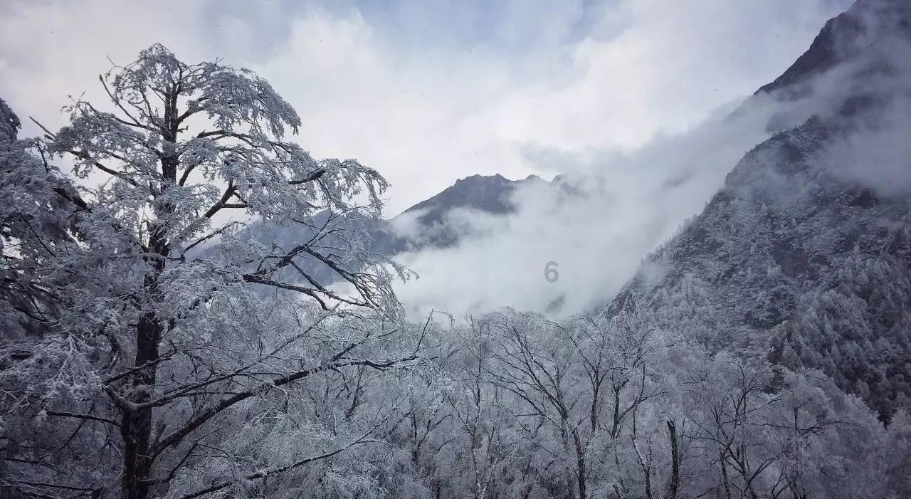 娱乐圈中有一种友情叫做谢娜和何炅，这是什么意思？游戏画面