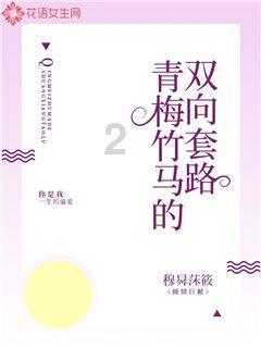 娘子正处叛逆期系列小说有几本