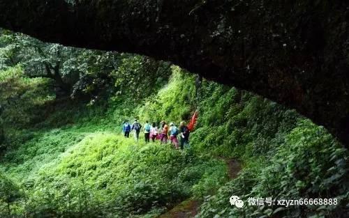 星球大战前线