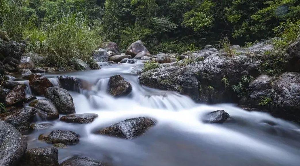 怎么让高中生戒掉手机 专家这样给你说方法