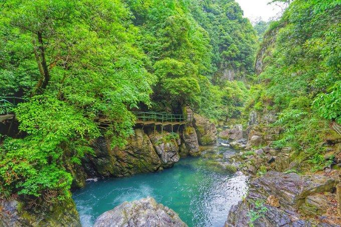 模拟山羊