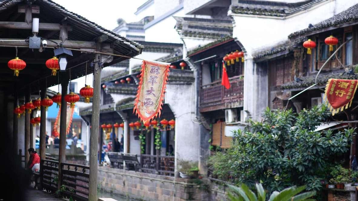 昌江叉河镇：地瓜遇上木棉花 红红火火好“丰”景