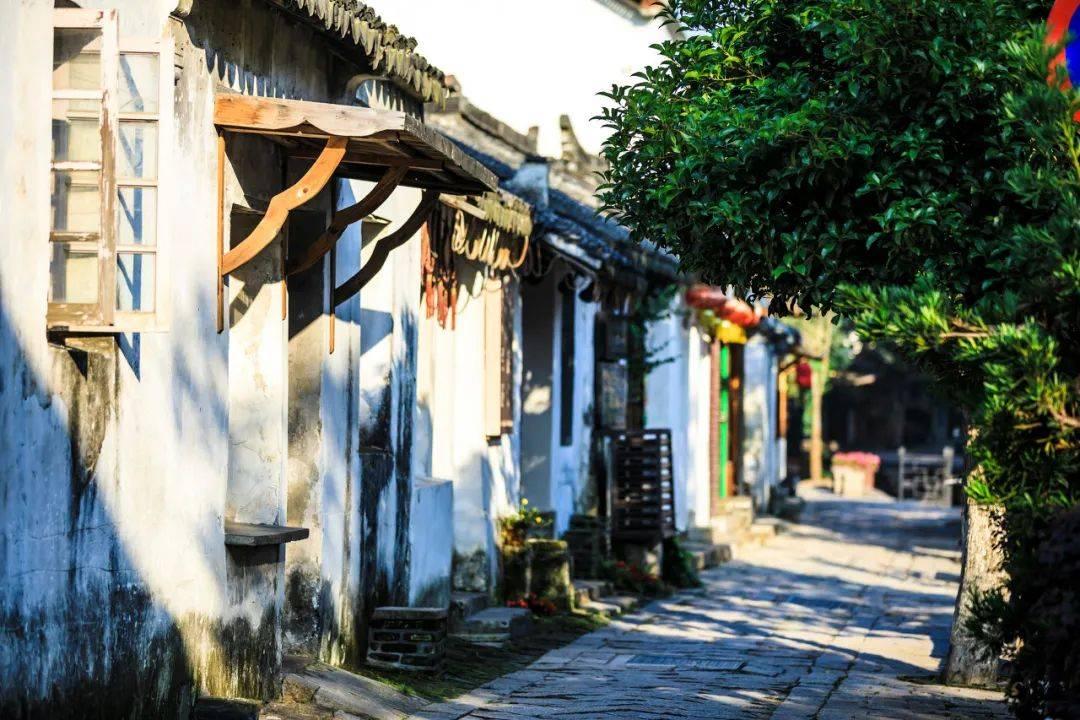 新大嘴怪冒险