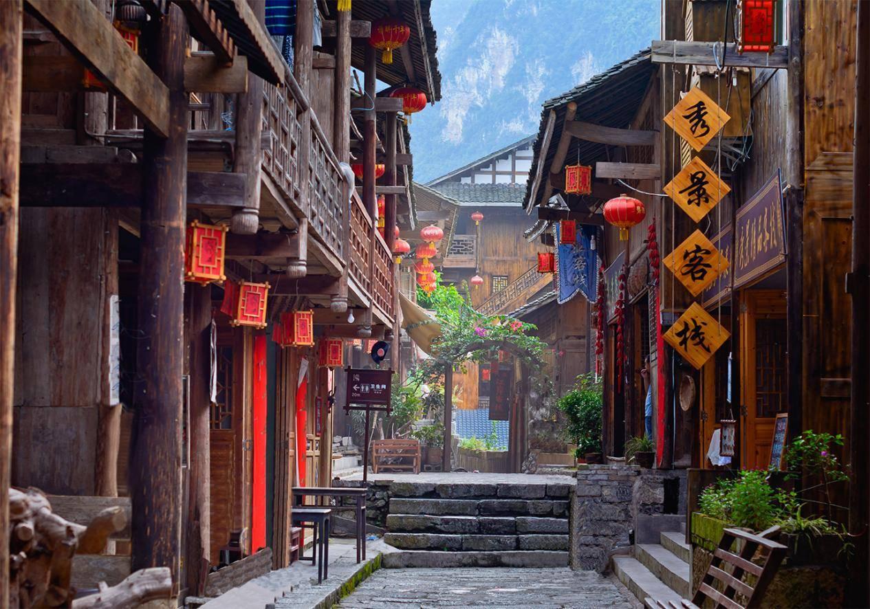 逃离金刚鹦鹉森林